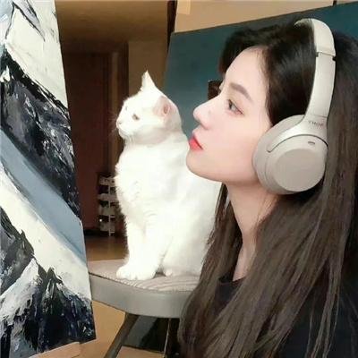 芯觉