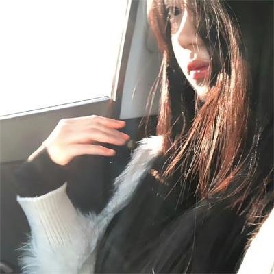 老柿子树